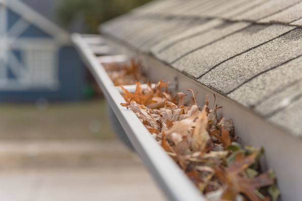Leaf Barrier Installation in Wilson